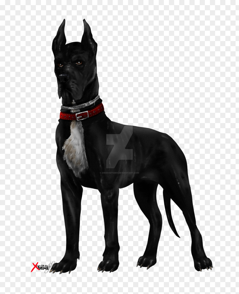 Pitbull Cane Corso Great Dane Labrador Retriever Dog Breed Black PNG