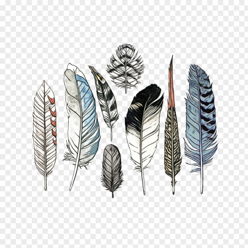 Product Design Feather PNG