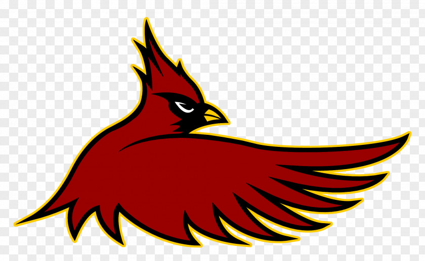 American Football Cardinal Hayes High School Arizona Cardinals St. Louis NFL PNG