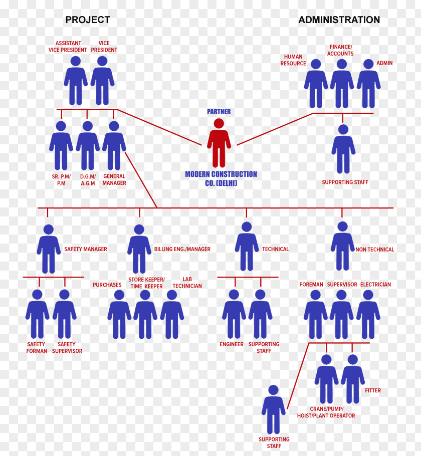 Business Hierarchical Organization Architectural Engineering Organizational Chart Management PNG
