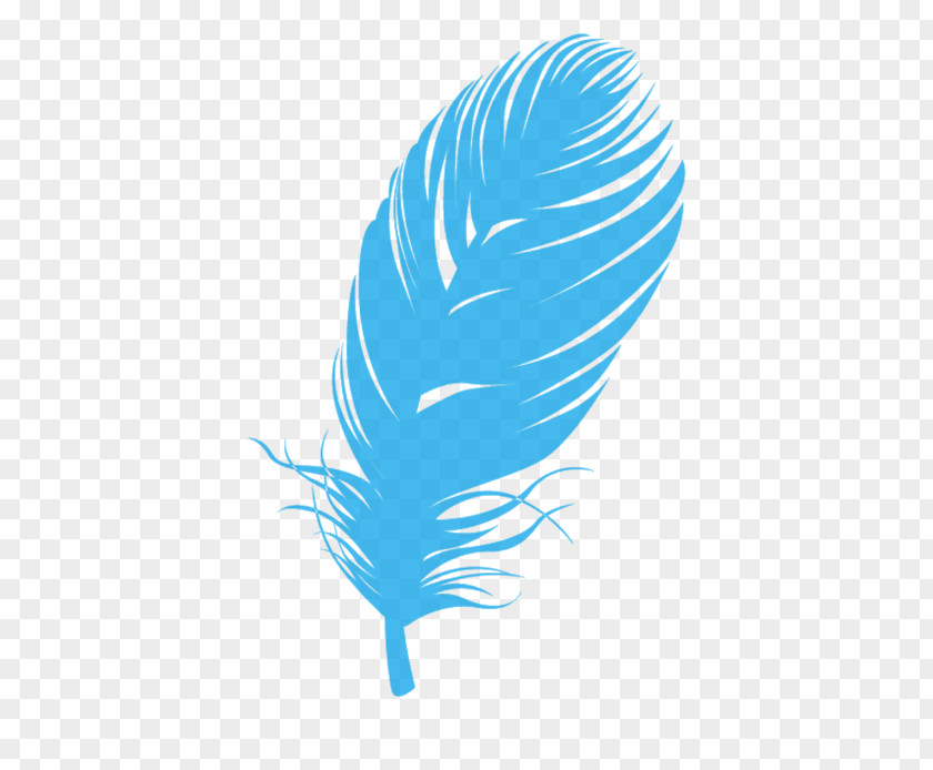 Colored Feathers Feather CorelDRAW Bird PNG