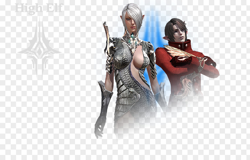Elf TERA Massively Multiplayer Online Role-playing Game Player Versus Environment Female PNG