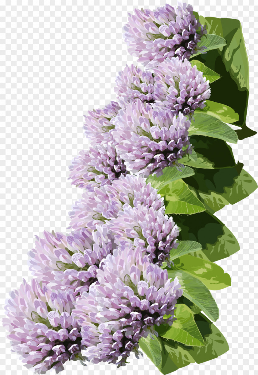 Lilac Flower Clip Art PNG