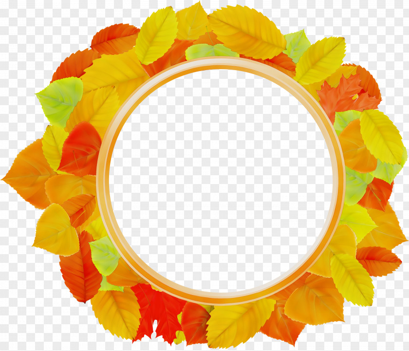 Oval Yellow Autumn Leaf Drawing PNG
