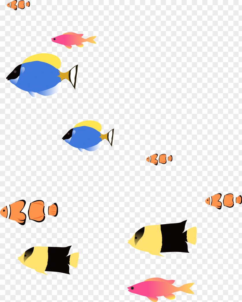 Vector Deep Sea Fish PNG