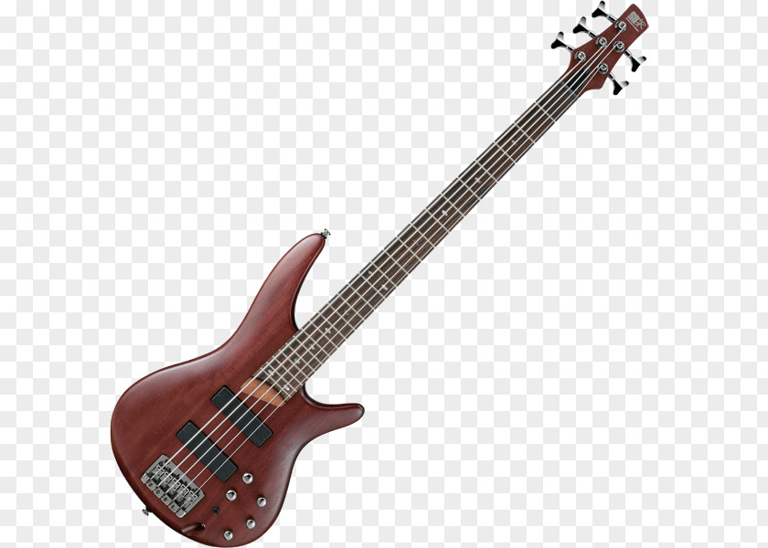 Bass Guitar Ibanez RG Musical Instruments Electric PNG