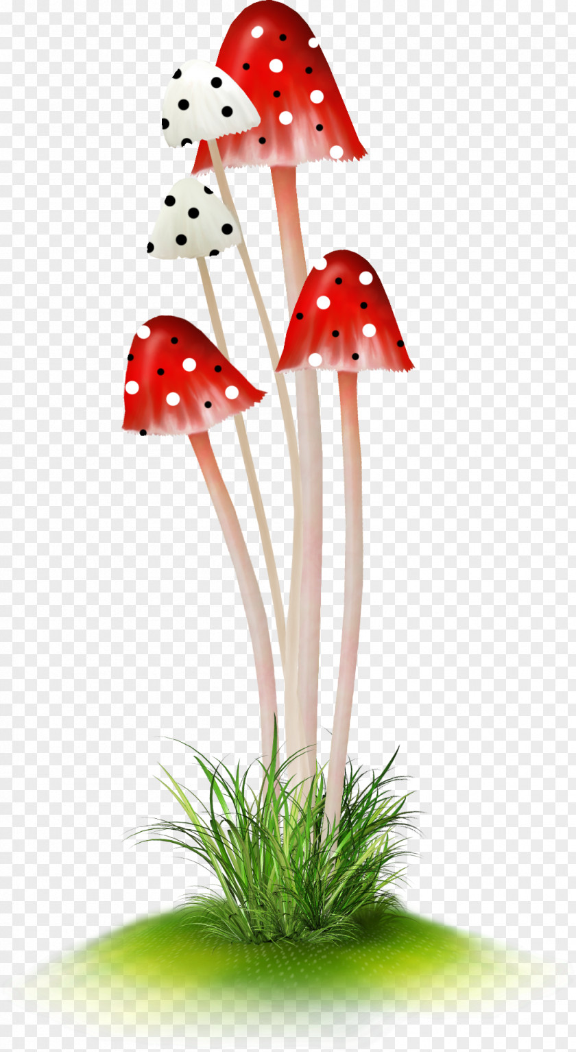 Clip Art Mushroom DepositFiles Blog PNG