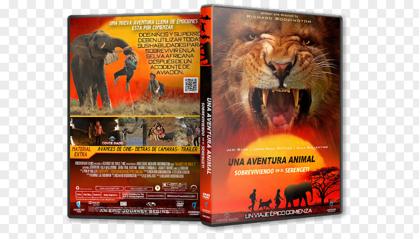 Cover Dvd Advertising PNG