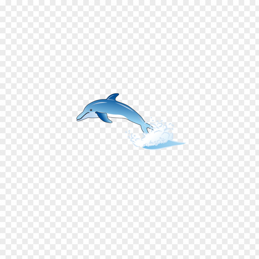 Dolphin Marine Mammal Sky Pattern PNG