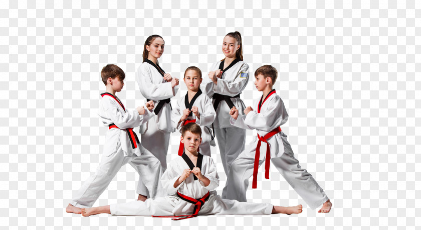Karate Taekwondo Martial Arts Sparring Black Belt PNG