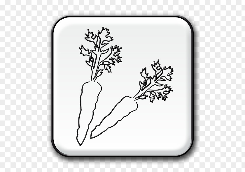 Leaf Twig H&M Flowering Plant Clip Art PNG