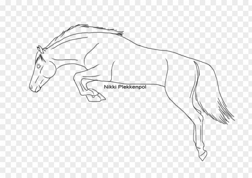 Line Shading Mustang Drawing Show Jumping How To Draw A Horse PNG