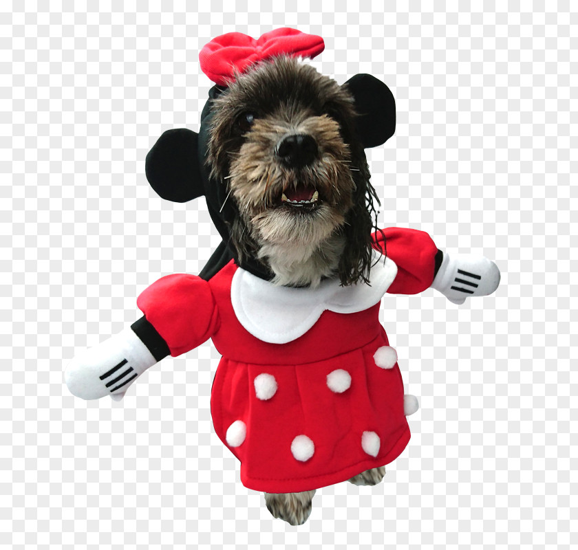 Minnie Mouse Dog Breed Puppy PNG