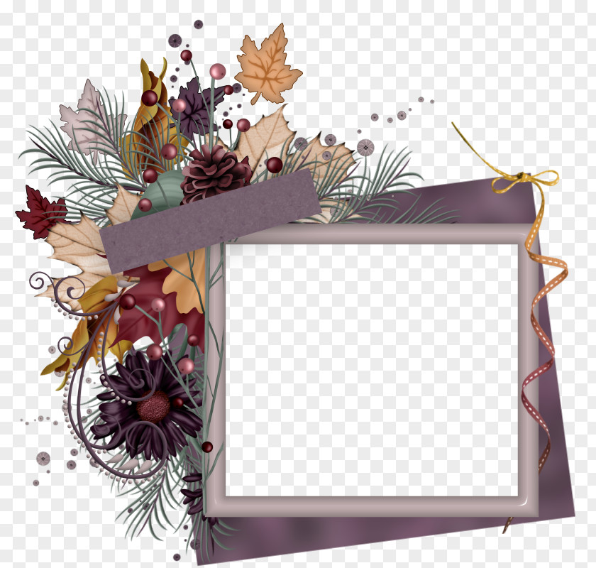 Quadro Picture Frames Floral Design Paper PNG