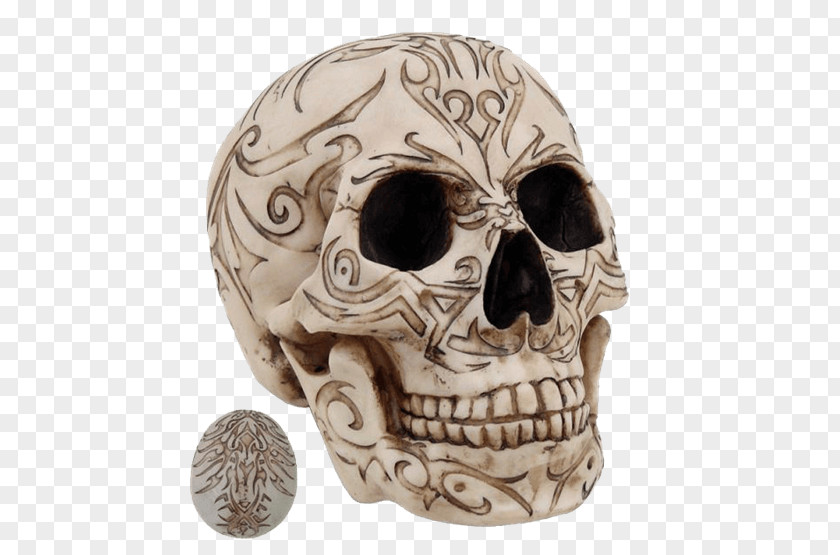 Skull Human Skeleton Homo Sapiens Statue Figurine PNG