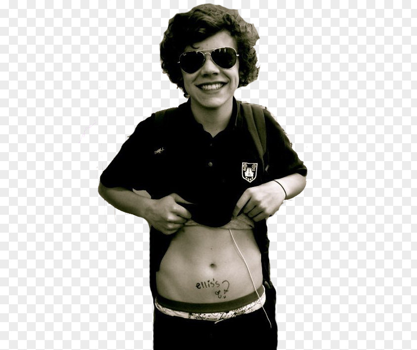 Styles Harry Sleeve Tattoo One Direction Swallow PNG