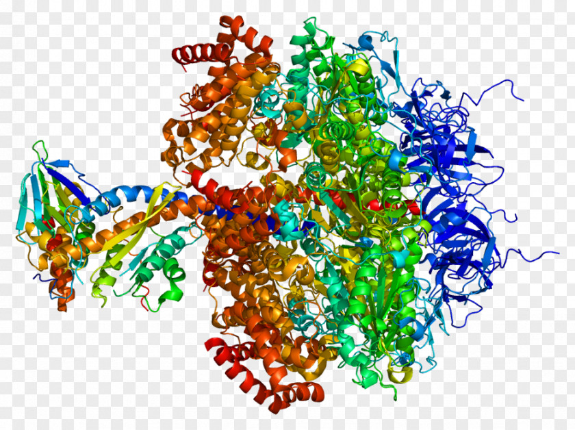 Sodiumglucose Transport Proteins ATP Synthase Machine Embroidery ATP5D ATP5E PNG