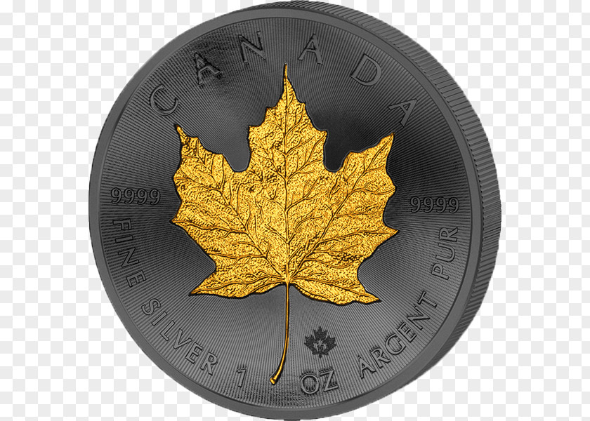 The Surface Of Golden Crony Canadian Silver Maple Leaf Libertad Gold Ounce PNG