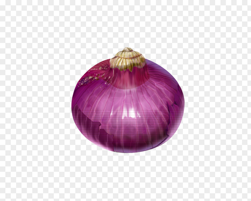 Bright Onion DeviantArt Computer File PNG