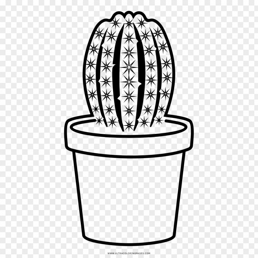 Cacto Cactaceae Drawing Prickly Pear Coloring Book PNG