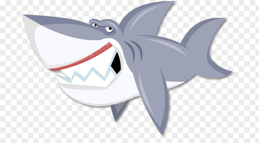 Cartoon Sharks Shark Drawing Clip Art PNG