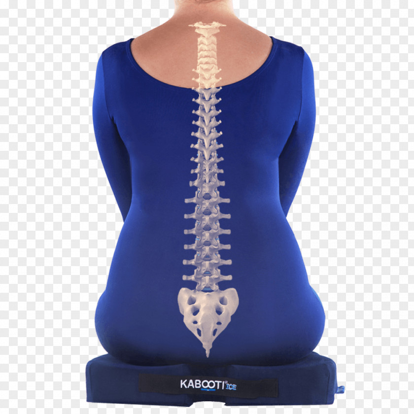 Cushions Coccyx Lumbar Coccydynia Cushion Sitting PNG