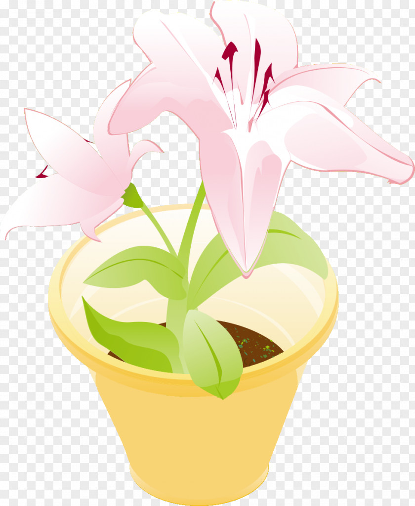 Flower Floral Vase PNG