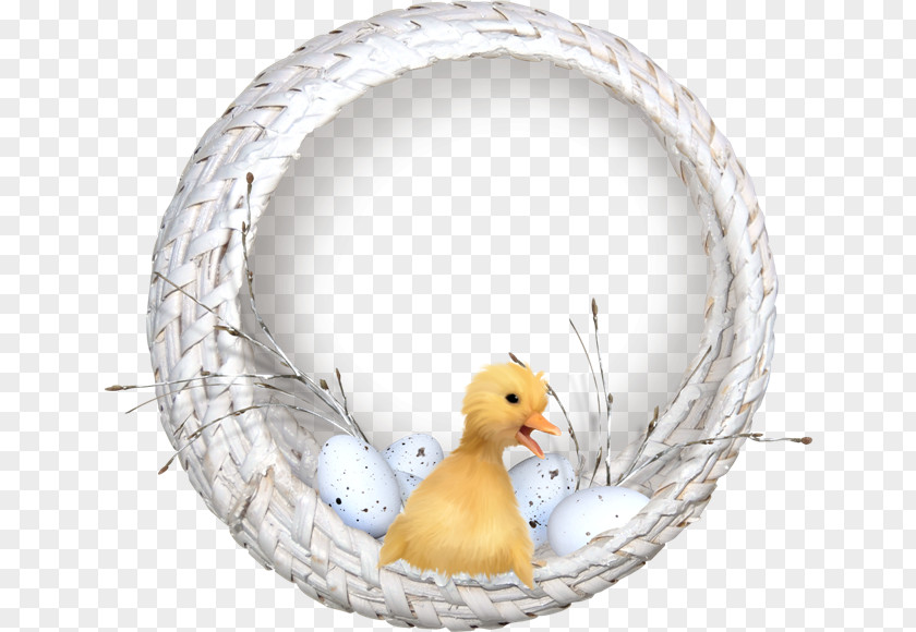 Gif Duck Bird Computer Graphics PNG