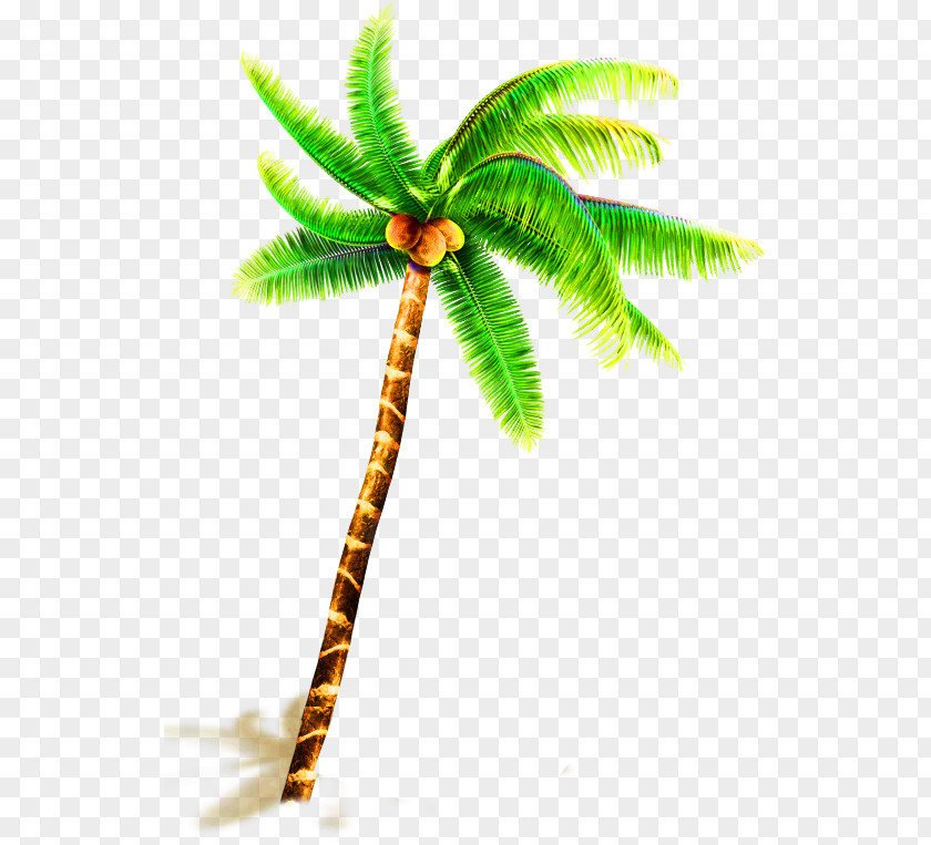 Green Hand Painted Coconut Tree Decoration Pattern Water Milk PNG