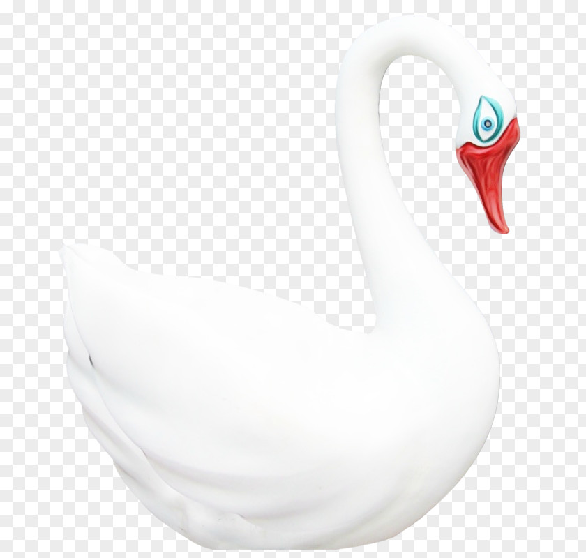 Water Bird Birds Beak Biology Science PNG