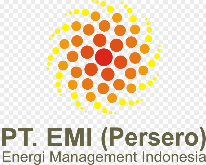 Business PT Energy Management Indonesia (Persero) Innovation Consultant PNG