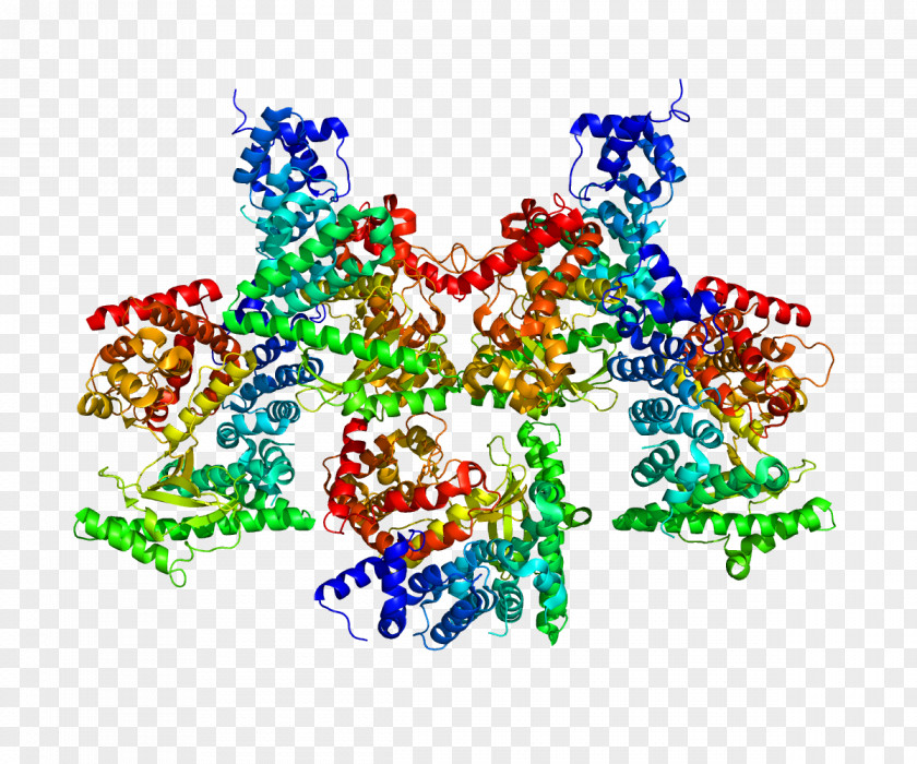 PIK3C3 P110α Phosphoinositide 3-kinase Class III PI Protein PNG