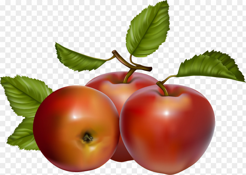 Berries Apple Fruit Clip Art PNG