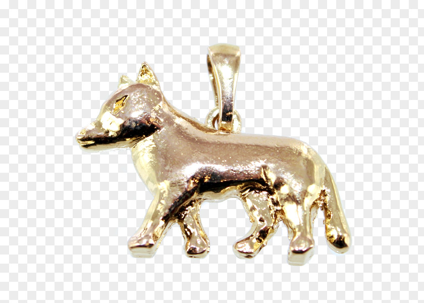 Dog Charms & Pendants Canidae Gold Body Jewellery PNG