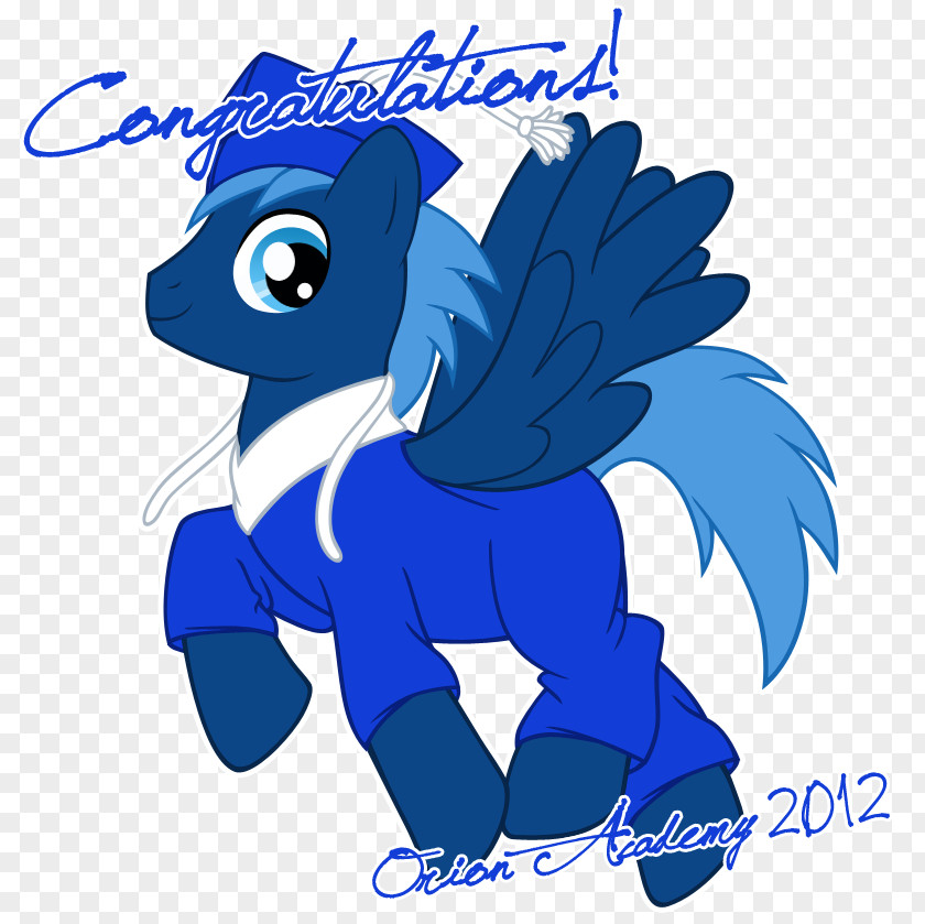 Graduating Pictures Pony Rainbow Dash Graduation Ceremony Clip Art PNG