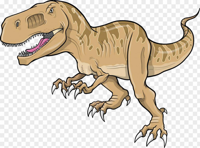 Painted Cartoon Dinosaur Tyrannosaurus Velociraptor Euclidean Vector PNG