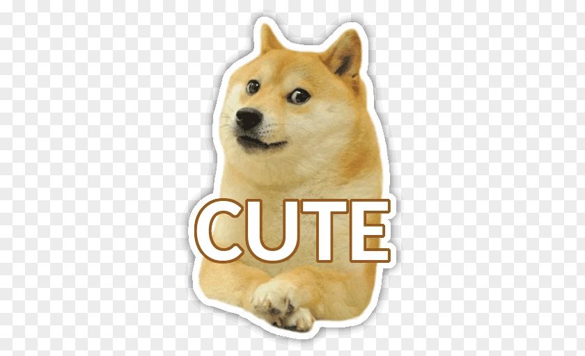 Save The Doge Shiba Inu Dogecoin PNG