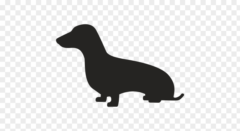 Car Dachshund Dog Breed Paper Puppy PNG