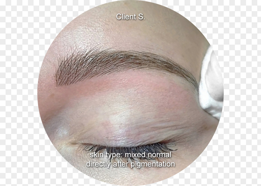 Microblading Professionals Eyebrow Permanent Makeup Eyelash ExtensionsMicroblading Face Couture PNG