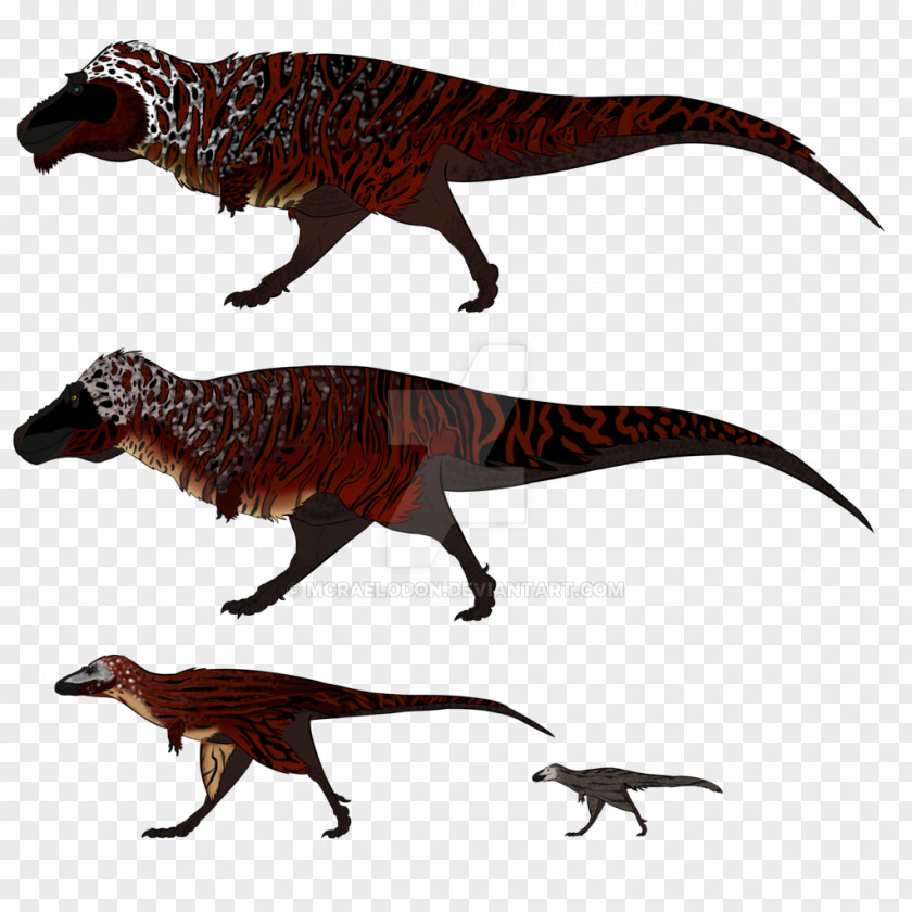 Tyrannosaurus Dinosaur Velociraptor Terrestrial Animal PNG