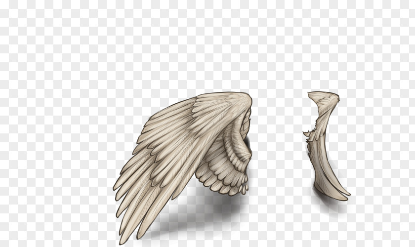 White Wings Silver Jewellery Jaw PNG