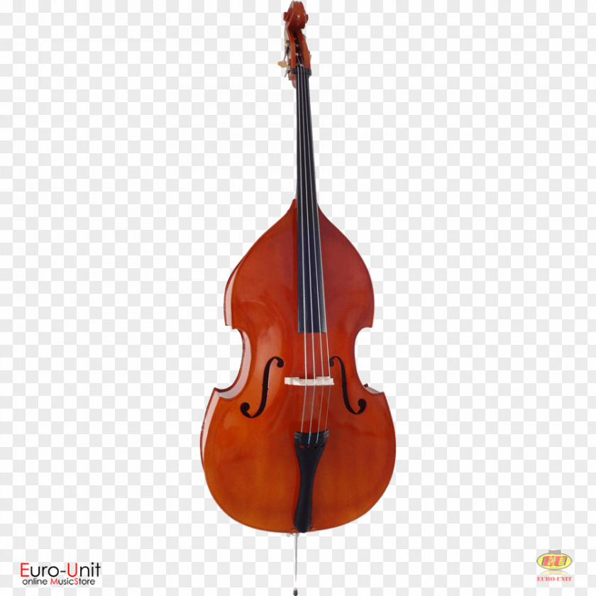 Bass Guitar Violin Double Violone Viola PNG