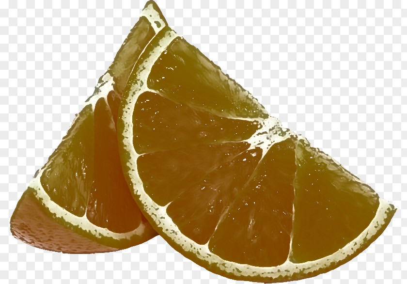 Citrus Lime Fruit Plant Food PNG