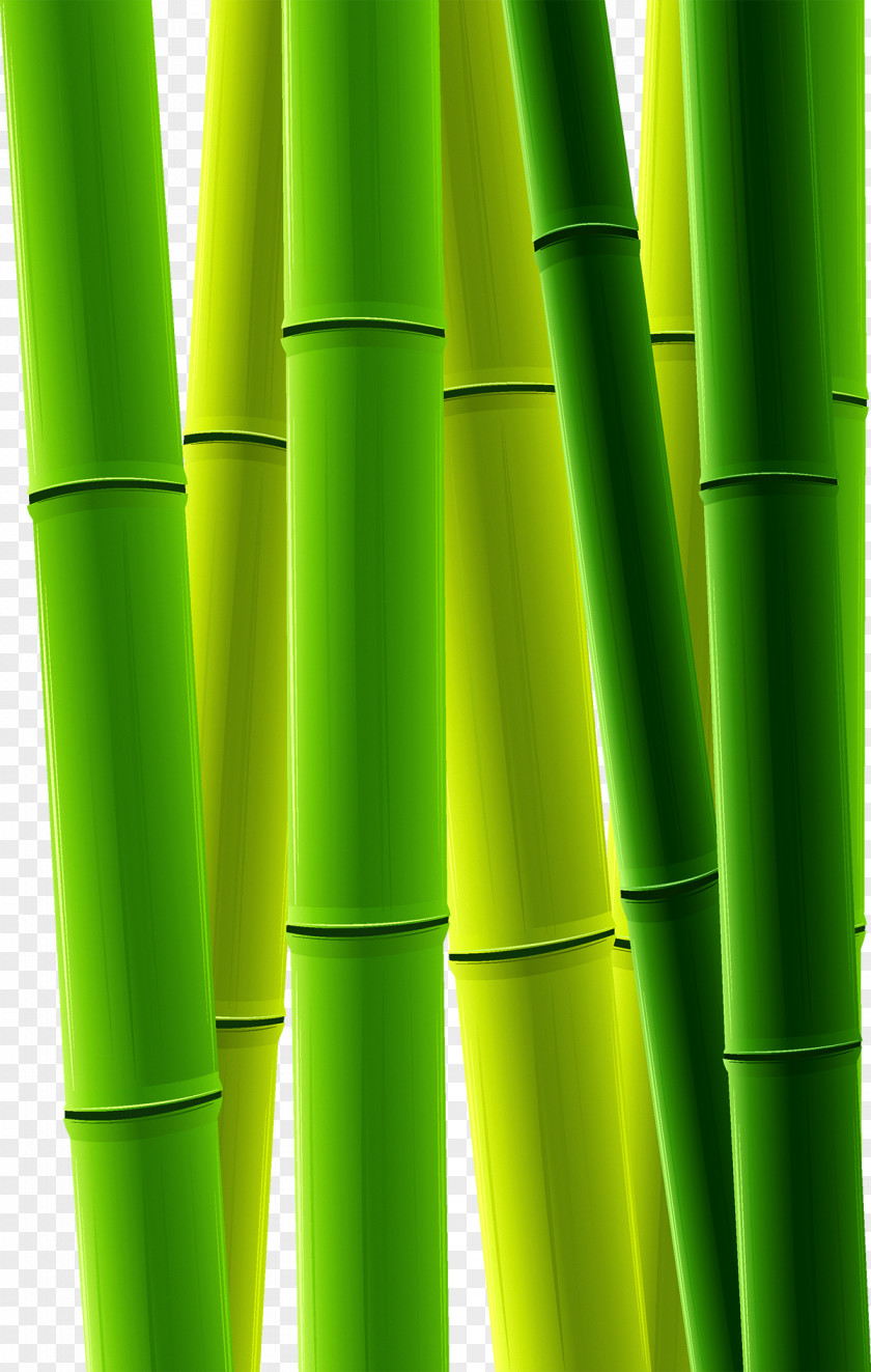 Green Bamboo Bamboe Clip Art PNG