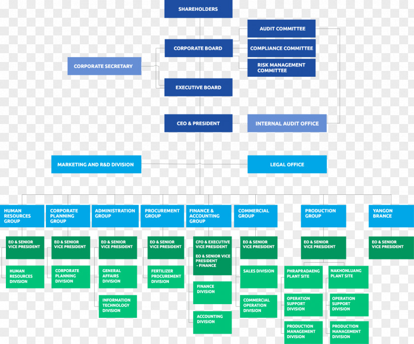 Organization Chart Thai Centrel Chemical Public Company Limited Central Pattana Vegetable Oil PNG