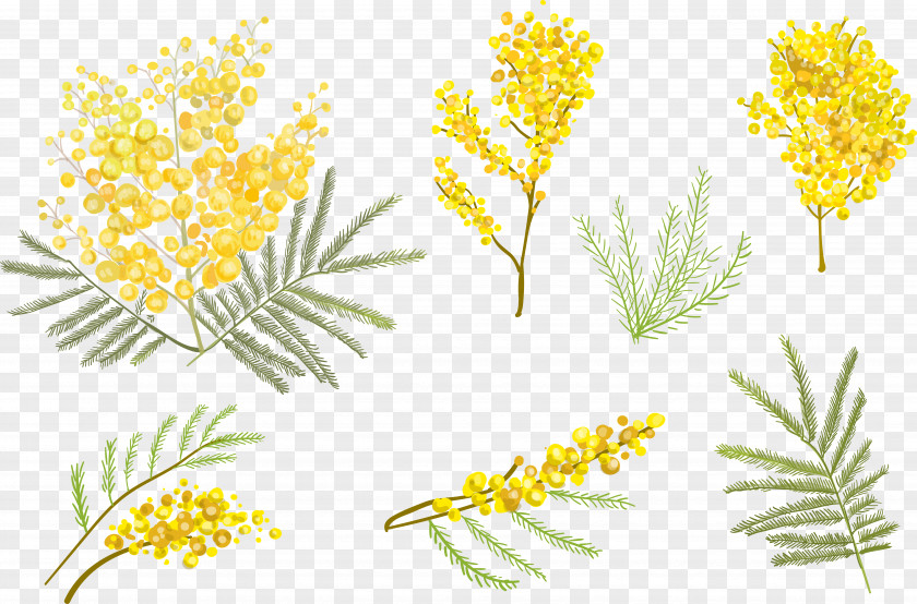 Small Yellow Flower Vector Euclidean Clip Art PNG