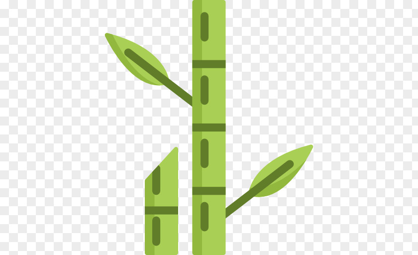 Bamboo Vector PNG