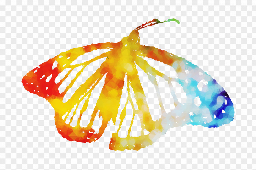 M. Butterfly Orange S.A. PNG