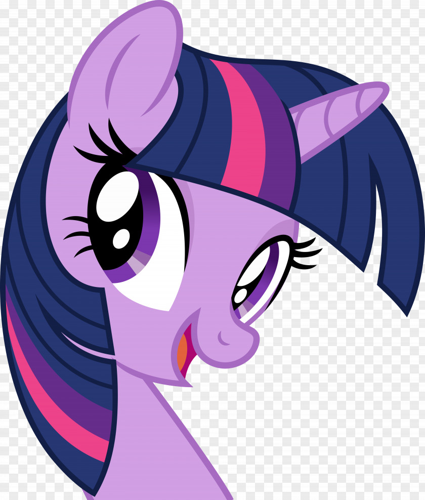 Sparkle Twilight Pony DeviantArt PNG