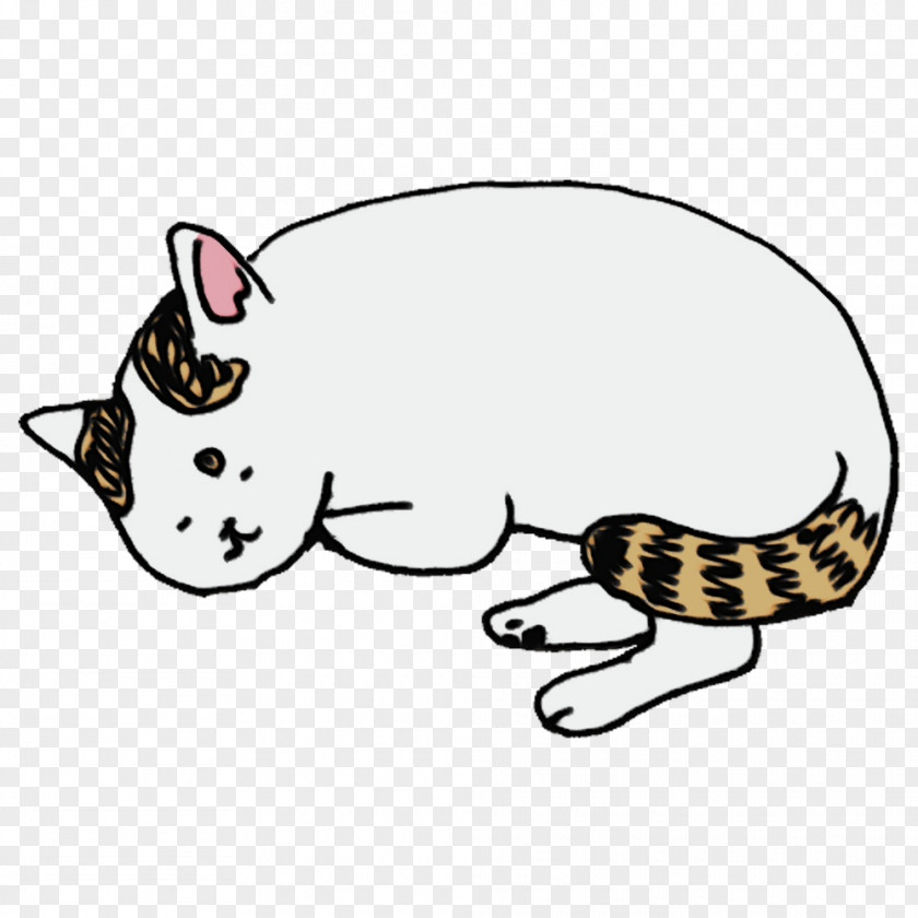 Whiskers Kitten Cat Cartoon Paw PNG